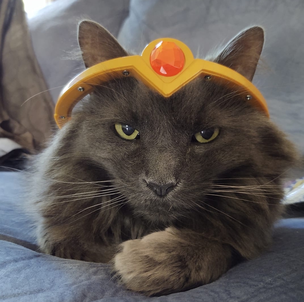 Meet your Posher, Hilary